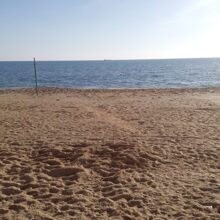 Песок на пляже (Прилегающая территория к объекту)